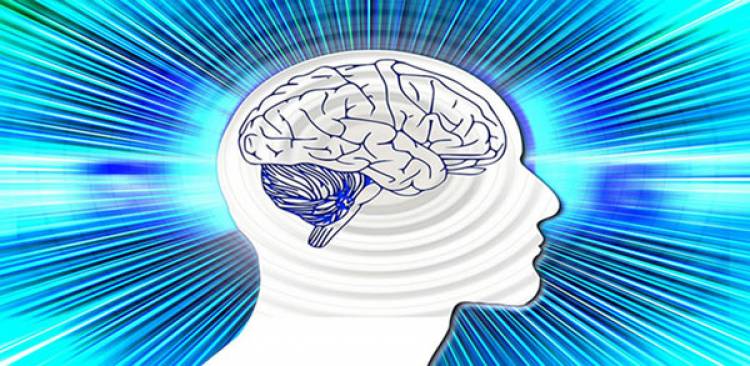 The Health Benefits of Phosphatidylserine