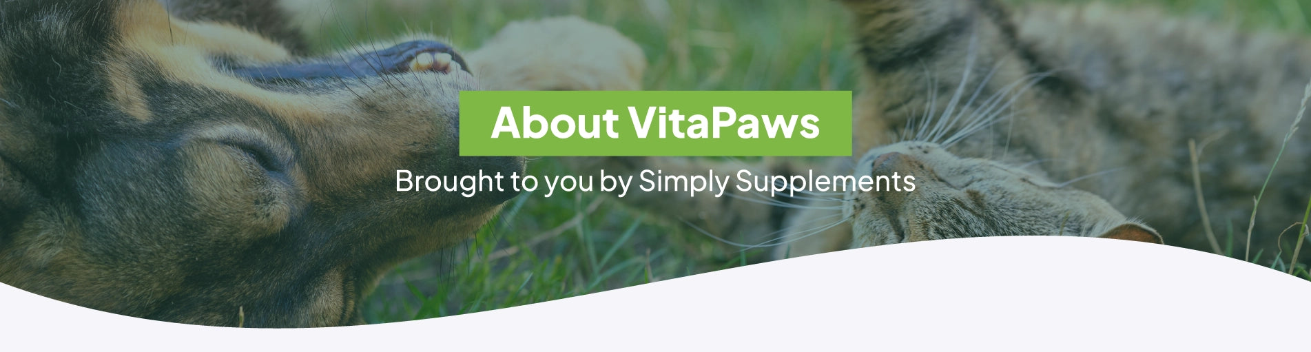Simply Supplements