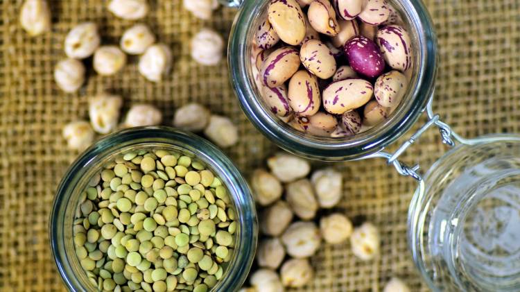 Top 10 alimentos con proteína vegetal