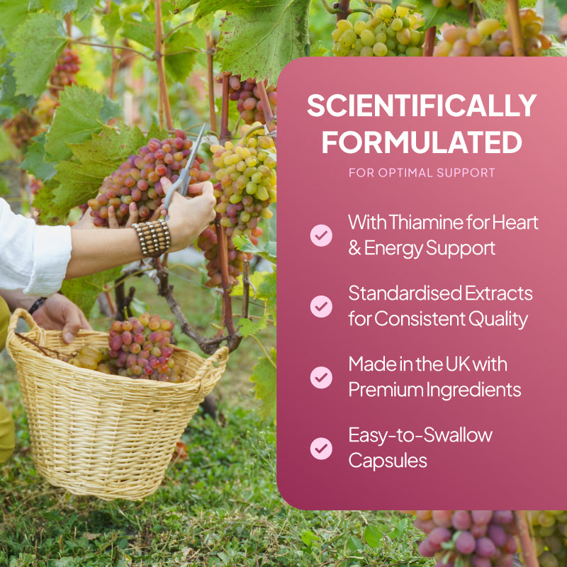 Promotional product graphic for Simply Supplements Resveratrol Max with Grapeseed Extract 5000mg, showing benefits of the product. The benefits highlight the product contains thiamine for heart and energy support, made in the UK with premium ingredients and easy to swallow capsules