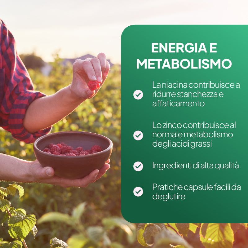 Un'immagine promozionale con un testo in italiano su un pannello verde, accanto a una persona in un giardino di lamponi che tiene in mano una ciotola di lamponi freschi. Il testo evidenzia i benefici per l'energia e il metabolismo, con dei segni di spunta accanto a ciascun punto.