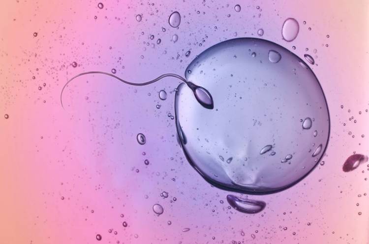 Come migliorare la qualità dello sperma