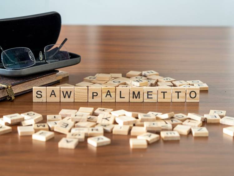 Saw Palmetto: benefici e molto altro