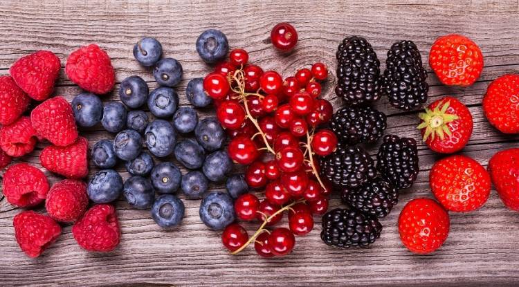 Frutti di Bosco: belli e buoni