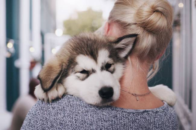 Come prepararsi per l'arrivo di un cucciolo?