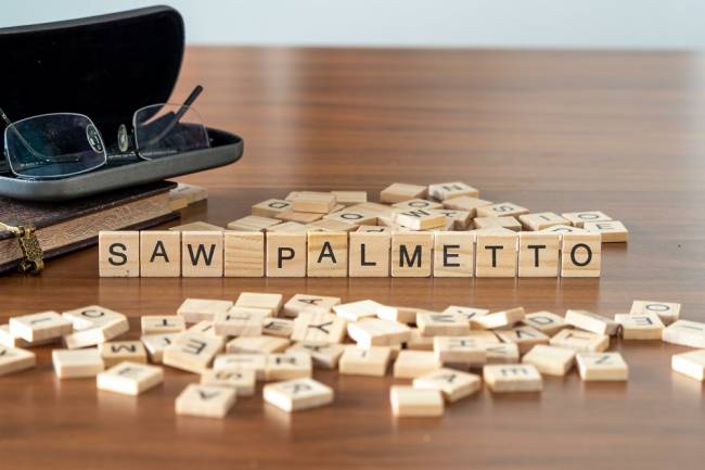 Saw Palmetto: benefici e molto altro