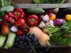 Perché mangiare frutta e verdura di stagione?